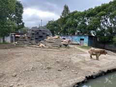 -宁波野生动物园