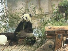-无锡动物园·太湖欢乐园