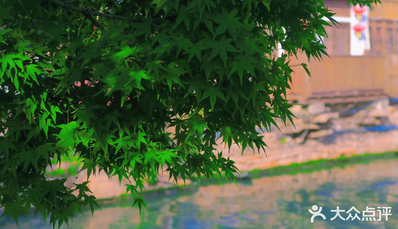 白居易"开发"的历史网红街‼️苏州七里山塘逛吃保姆级攻略🌟