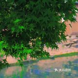 白居易"开发"的历史网红街‼️苏州七里山塘逛吃保姆级攻略🌟