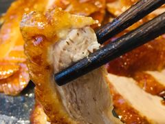 -守柴炉烤鸭(中海国际店)