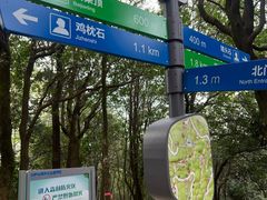 -火炉山森林公园