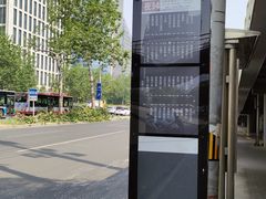 -团结湖公园