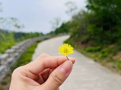 -府君山公园
