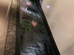 -淘米捞·米汤脆鲩鱼火锅(福田皇岗店)