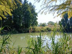 -梁鸿国家湿地公园