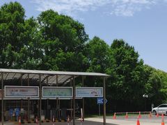 -上海佘山国家森林公园东门地面停车场