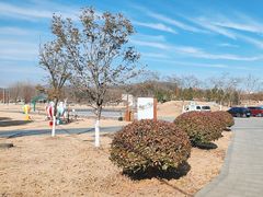 -佛手湖郊野公园