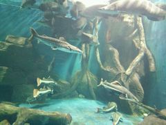 -多彩贵州城极地海洋世界