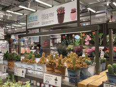 -鹿岛生活(熙地港店)