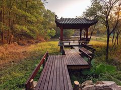 -深圳国际园林花卉博览园