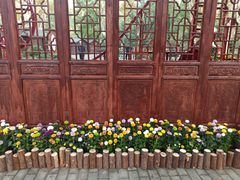 -共青国家森林公园-售票处