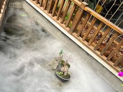 -王捌小院(红花坡店)