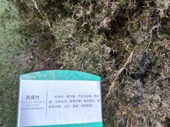 -白塘生态植物园