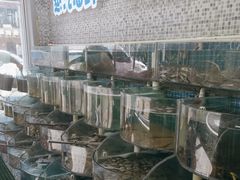 -仙螺岛海鲜自助餐厅(总店)