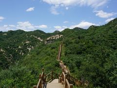 -大岭沟猕猴桃谷风景区