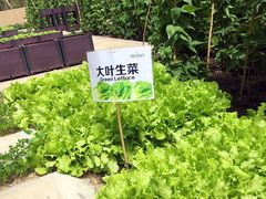 -松咖啡自助餐厅·松北香格里拉