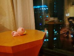 -上海外滩英迪格酒店