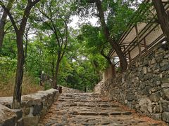 -阳台山自然风景区