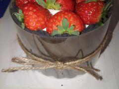 -新丰蛋糕(百花路总店)