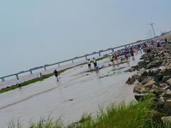 -南汇嘴观海公园