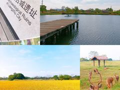 -良渚古城遗址公园