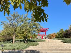 -大望京公园