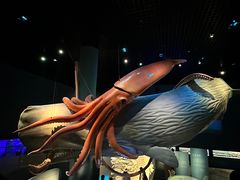 -浙江自然博物院(杭州馆)