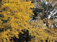 -苏州大学(天赐庄校区)
