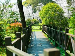 -顾村公园