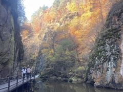 -茅兰沟国家森林公园