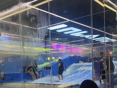 -INLANG饮浪室内冲浪(苏河湾万象天地店)