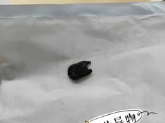 -康乐宝动物医院