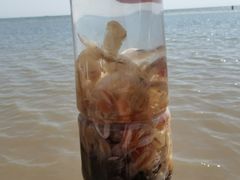 -东戴河风景区-止锚湾