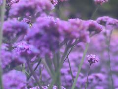-秦皇岛野生动物园