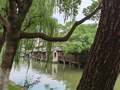 -乌镇东栅景区
