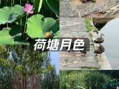 -前关湿地公园