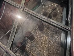 -元代水闸遗址博物馆