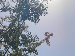 -一墨照相馆·证件照·形象照(世博店)