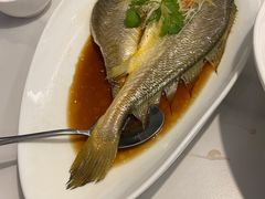-羲和雅苑•北京烤鸭(国贸商城店)