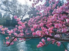 -颐和园