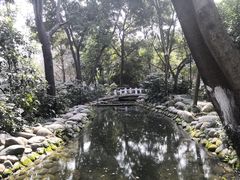 -成都市活水公园