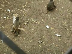 -昆明动物园