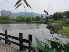 -长兴太湖图影湿地文化园