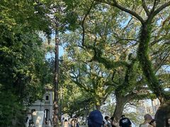 -江心屿景区