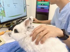 -立德异宠动物医院.兔鸟爬.内窥镜(天河店)
