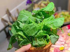 -野·大山里野生菌石锅土鸡(益田假日店)
