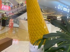 -野人先生Gelato(上海长宁龙之梦店)