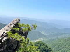 -王顺山国家森林公园