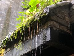 -鱼桥巷·美学川菜